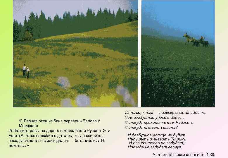 1). Лесная опушка близ деревень Бедово и Мерзлово 2). Летние травы по дороге в