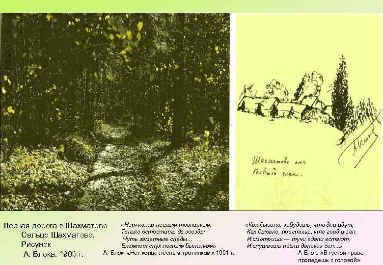  «Нет конца лесным тропинкам. Лесная дорога в Шахматово Только встретить до звезды Сельцо