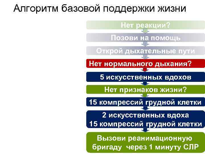 Алгоритм базовой поддержки жизни Нет реакции? Позови на помощь Открой дыхательные пути Нет нормального