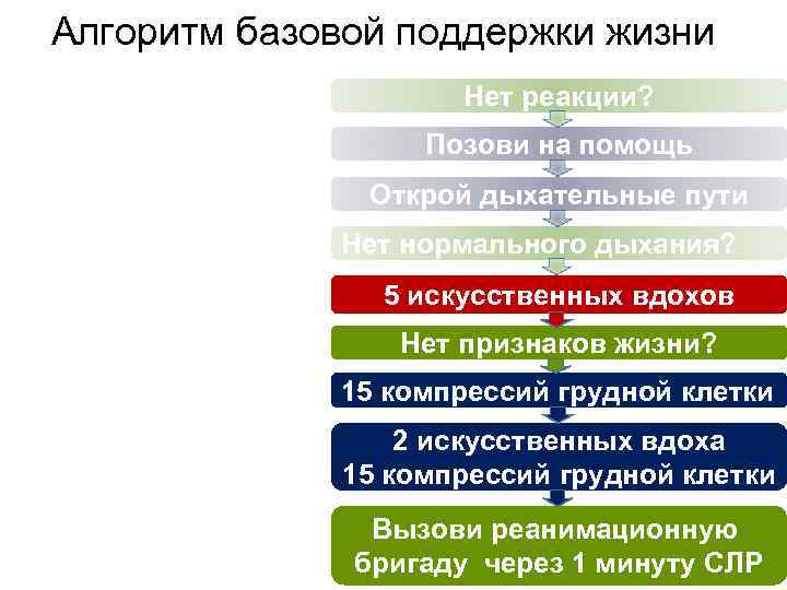 Алгоритм базовой поддержки жизни Нет реакции? Позови на помощь Открой дыхательные пути Нет нормального
