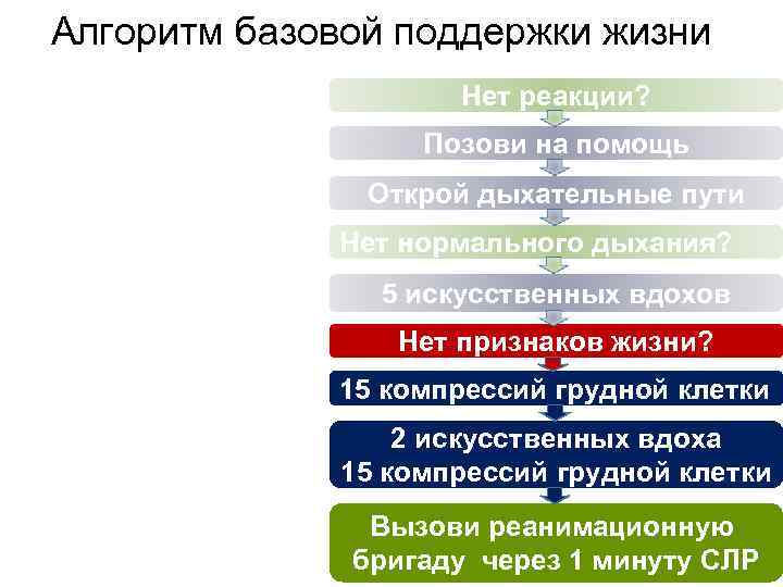 Алгоритм базовой поддержки жизни Нет реакции? Позови на помощь Открой дыхательные пути Нет нормального