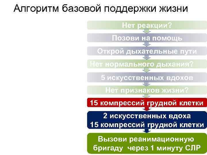 Алгоритм базовой поддержки жизни Нет реакции? Позови на помощь Открой дыхательные пути Нет нормального