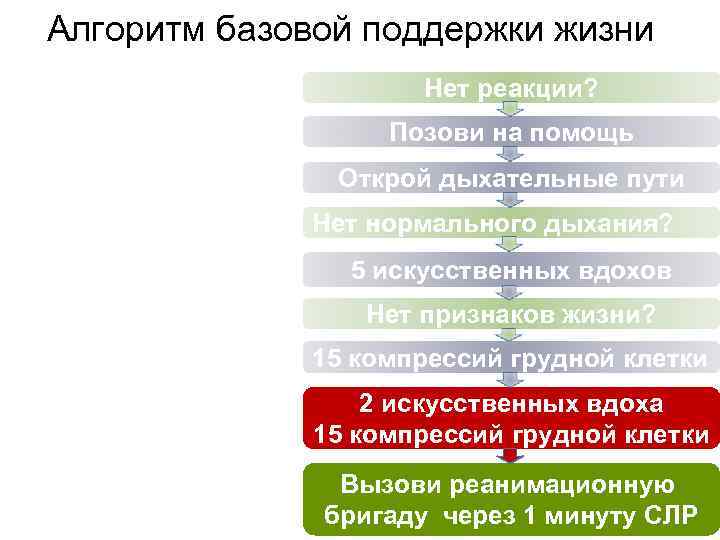 Алгоритм базовой поддержки жизни Нет реакции? Позови на помощь Открой дыхательные пути Нет нормального