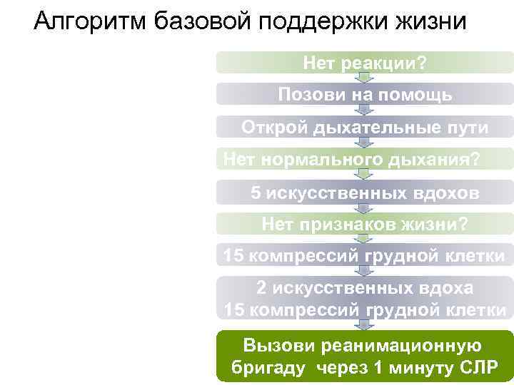 Алгоритм базовой поддержки жизни Нет реакции? Позови на помощь Открой дыхательные пути Нет нормального