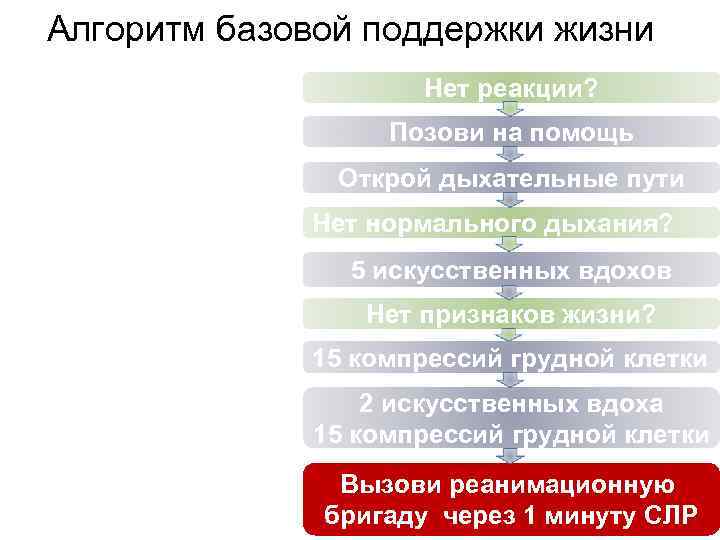 Алгоритм базовой поддержки жизни Нет реакции? Позови на помощь Открой дыхательные пути Нет нормального