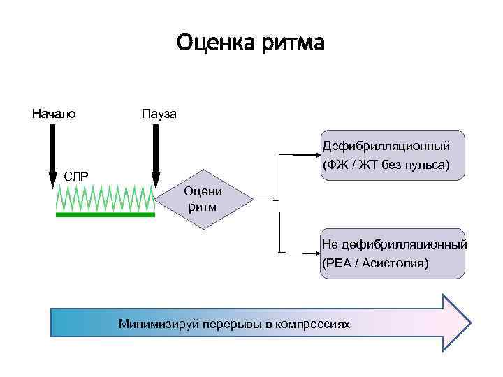 Оценка ритма Начало Пауза Дефибрилляционный (ФЖ / ЖТ без пульса) СЛР Оцени ритм Не