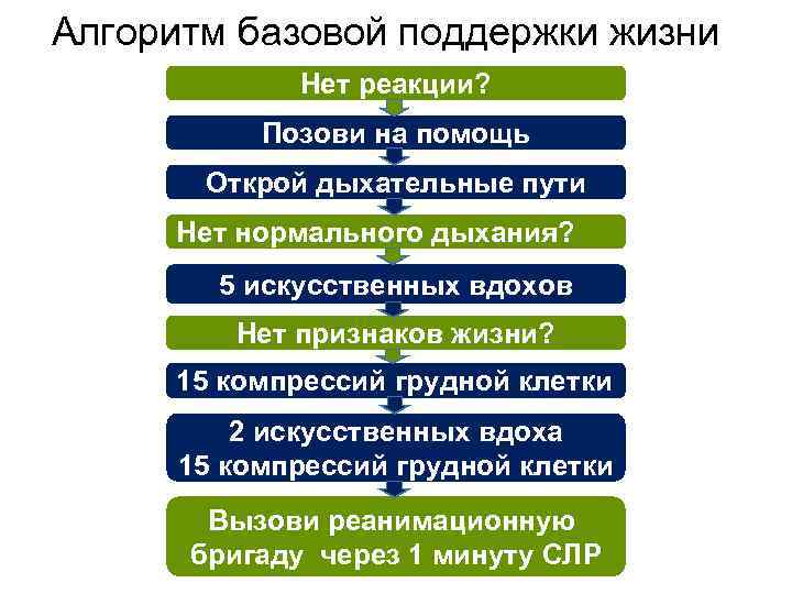 Алгоритм базовой поддержки жизни Нет реакции? Позови на помощь Открой дыхательные пути Нет нормального