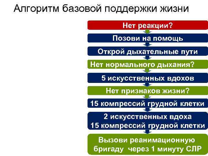 Алгоритм базовой поддержки жизни Нет реакции? Позови на помощь Открой дыхательные пути Нет нормального