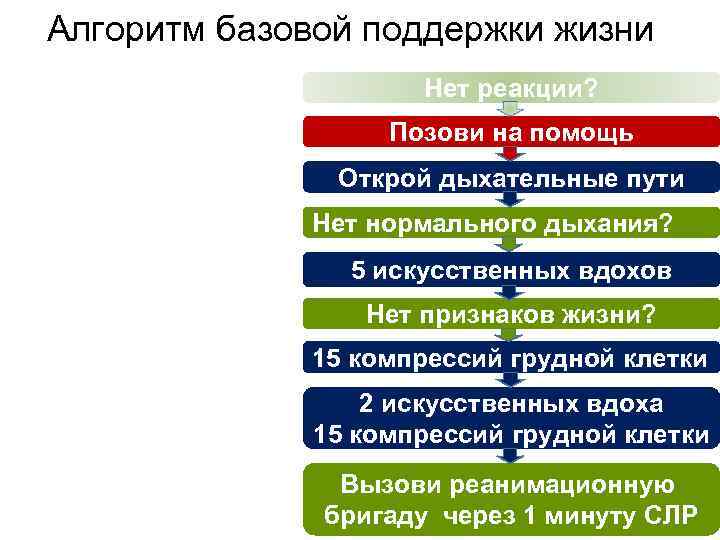 Алгоритм базовой поддержки жизни Нет реакции? Позови на помощь Открой дыхательные пути Нет нормального