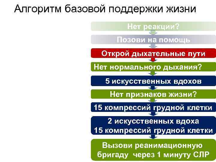 Алгоритм базовой поддержки жизни Нет реакции? Позови на помощь Открой дыхательные пути Нет нормального