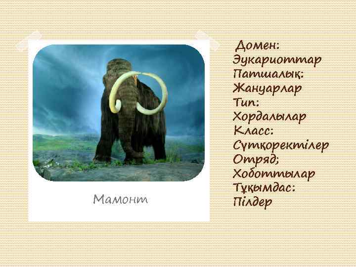 Мамонт Домен: Эукариоттар Патшалық: Жануарлар Тип: Хордалылар Класс: Сүтқоректілер Отряд; Хоботтылар Тұқымдас: Пілдер 