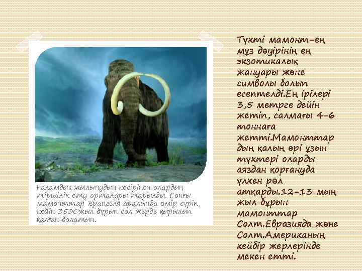 Ғаламдық жылынудың кесірінен олардың тіршілік ету орталары тарылды. Сонғы мамонттар Врангеля аралында өмір сүріп,