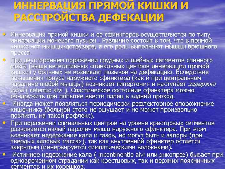 Иннервация мочевого пузыря неврология презентация