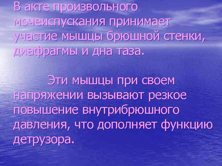 В акте произвольного мочеиспускания принимает участие мышцы брюшной стенки, диафрагмы и дна таза. Эти