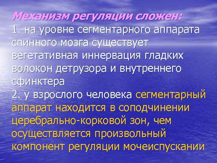 Механизм регуляции сложен: 1. на уровне сегментарного аппарата спинного мозга существует вегетативная иннервация гладких