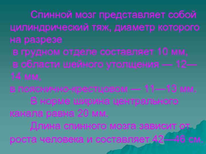 Спинной мозг представляет собой цилиндрический тяж, диаметр которого на разрезе в грудном отделе составляет