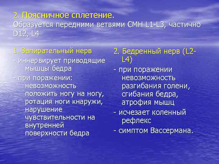 2. Поясничное сплетение. Образуется передними ветвями СМН L 1 -L 3, частично D 12,
