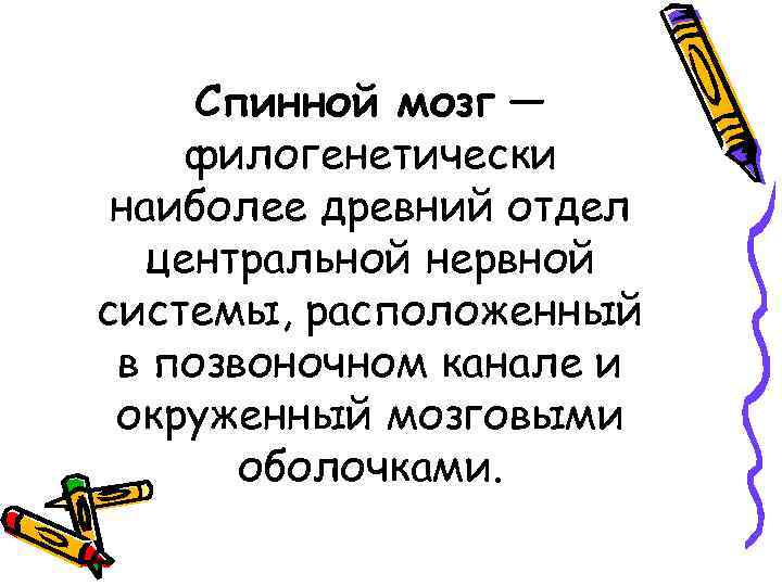 Спинной мозг — филогенетически наиболее древний отдел центральной нервной системы, расположенный в позвоночном канале