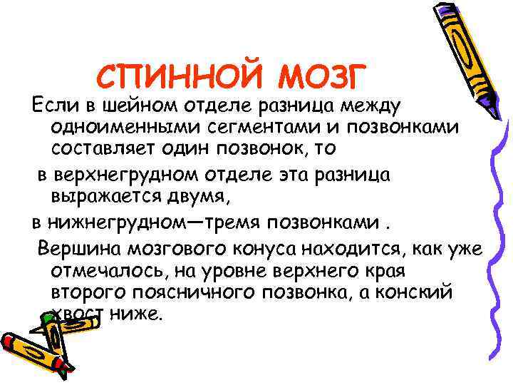 СПИННОЙ МОЗГ Если в шейном отделе разница между одноименными сегментами и позвонками составляет один