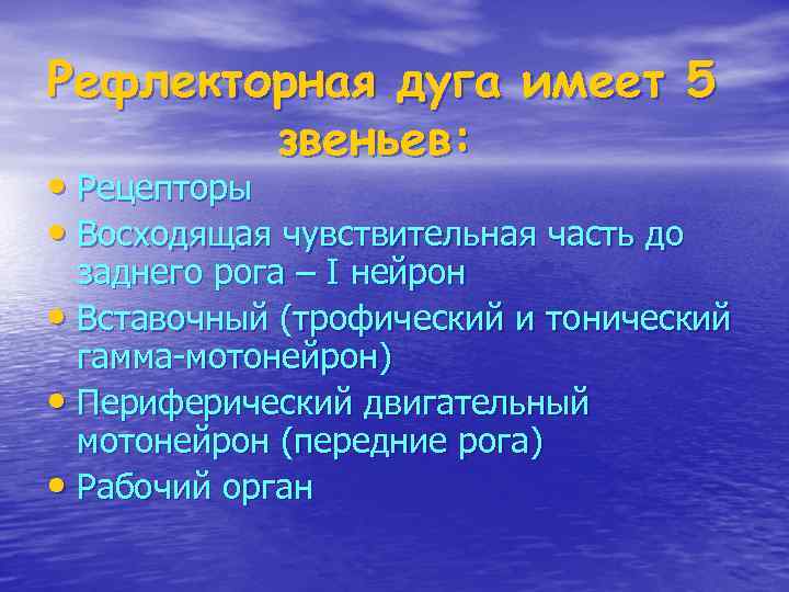 Рефлекторная дуга имеет 5 звеньев: • Рецепторы • Восходящая чувствительная часть до заднего рога