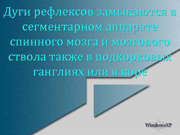 Дуги рефлексов замыкаются в сегментарном аппарате спинного мозга и мозгового ствола также в подкорковых