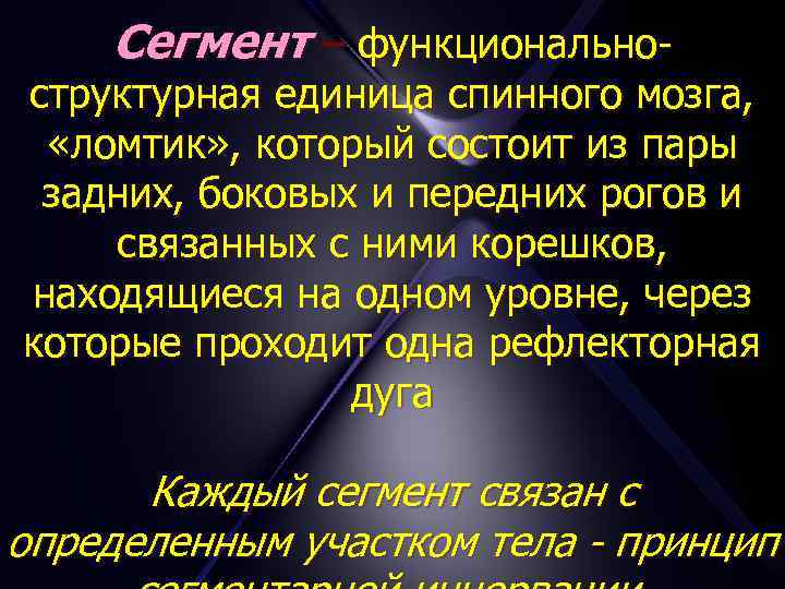 Сегмент – функционально- структурная единица спинного мозга, «ломтик» , который состоит из пары задних,