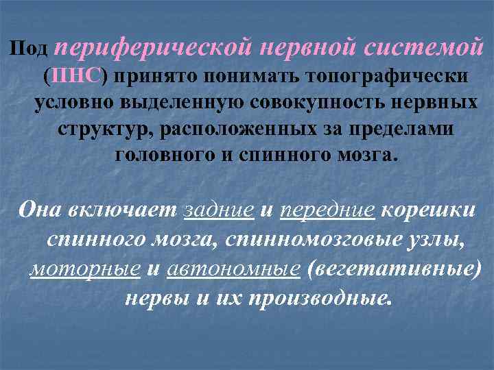 Под периферической нервной системой (ПНС) принято понимать топографически условно выделенную совокупность нервных структур, расположенных