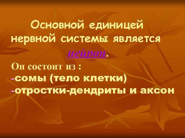 Основной единицей нервной системы является нейрон. Он состоит из : -сомы (тело клетки) -отростки-дендриты