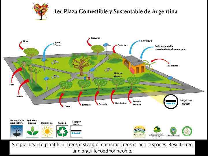 Simple idea: to plant fruit trees instead of common trees in public spaces. Result: