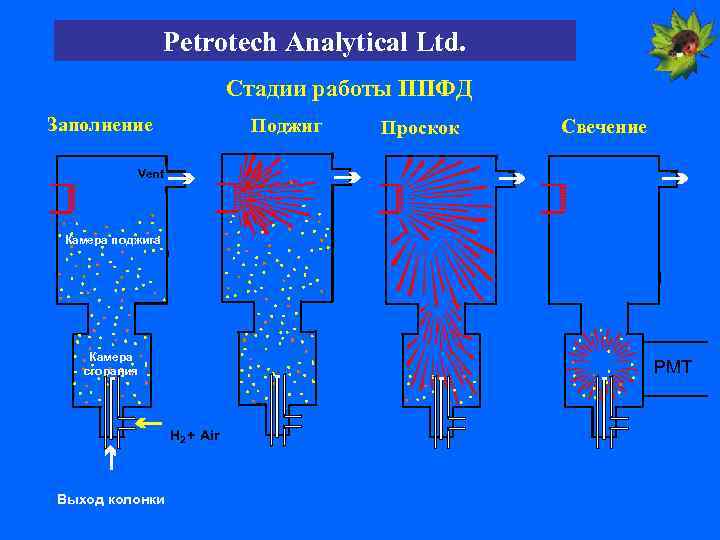Petrotech Analytical Ltd. Стадии работы ППФД Заполнение Поджиг Проскок Свечение Vent Камера поджига Камера