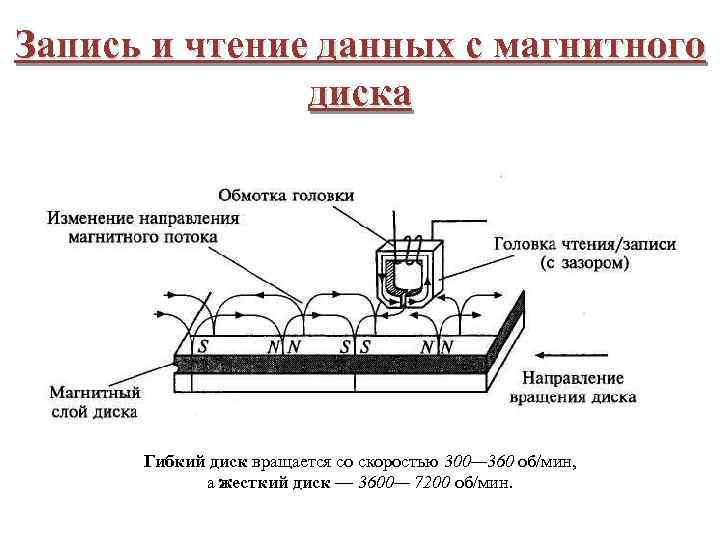 Запись и чтение данных с магнитного диска Гибкий диск вращается со скоростью 300— 360