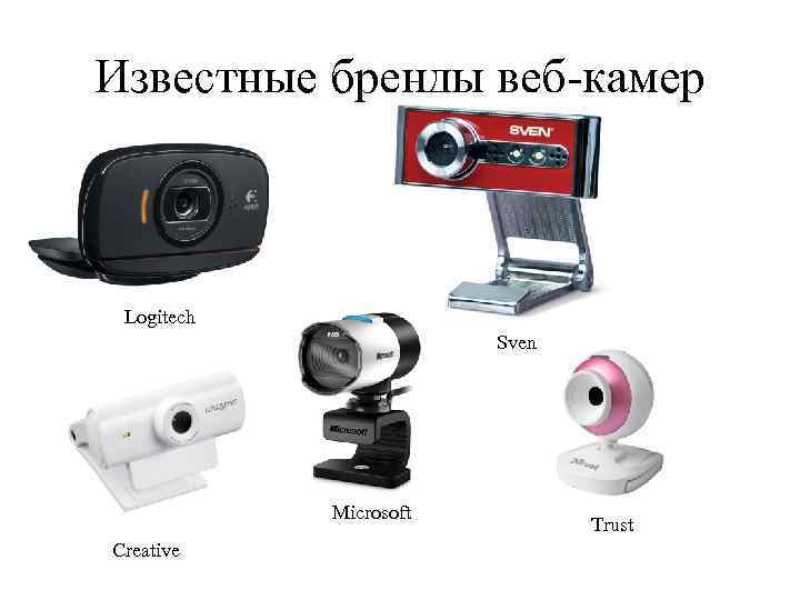 Известные бренды веб-камер Logitech Sven Microsoft Creative Trust 