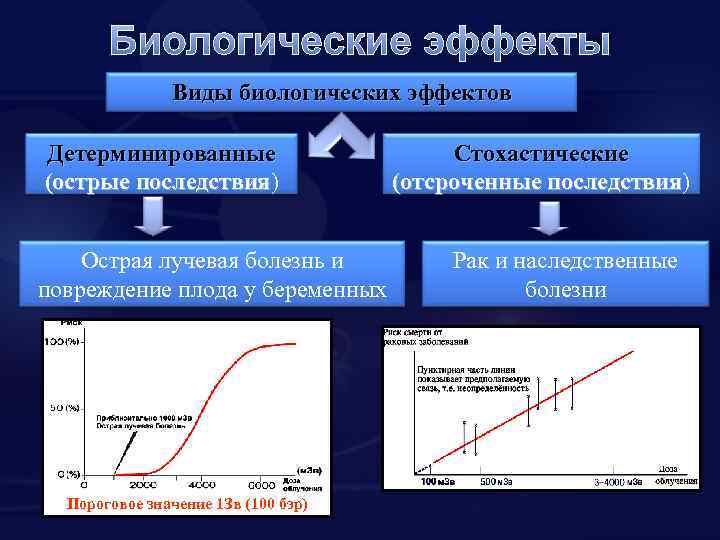 Биологические эффекты Виды биологических эффектов Детерминированные (острые последствия) последствия Стохастические (отсроченные последствия) последствия Острая