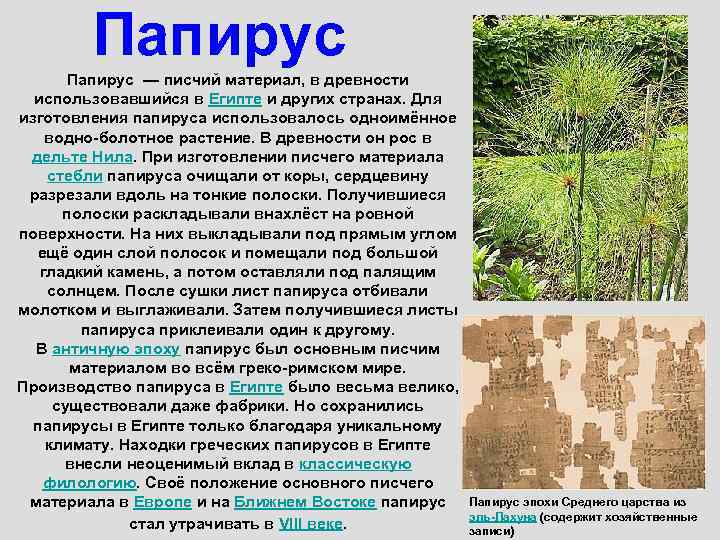  Папирус — писчий материал, в древности использовавшийся в Египте и других странах. Для