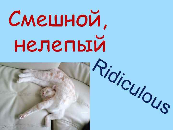 Смешной, нелепый Rid icu lou s 