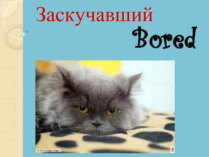 Заскучавший Bored 
