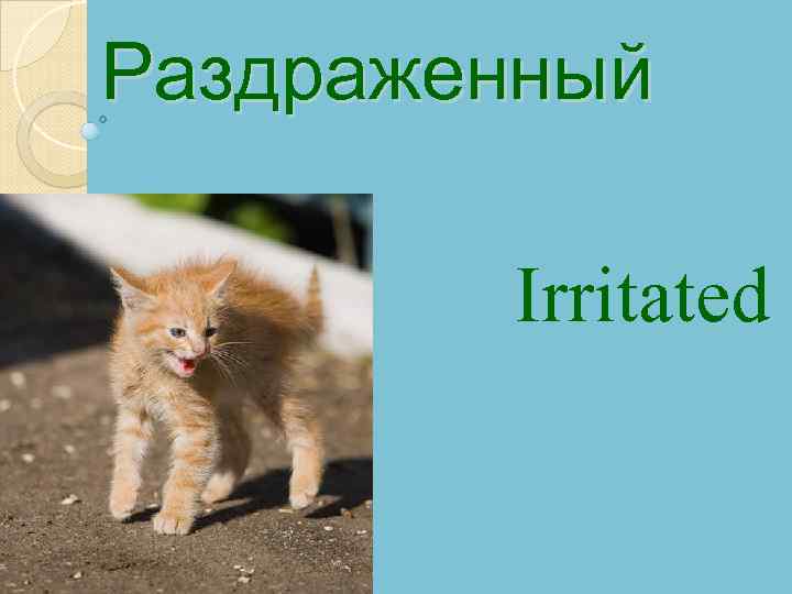Раздраженный Irritated 