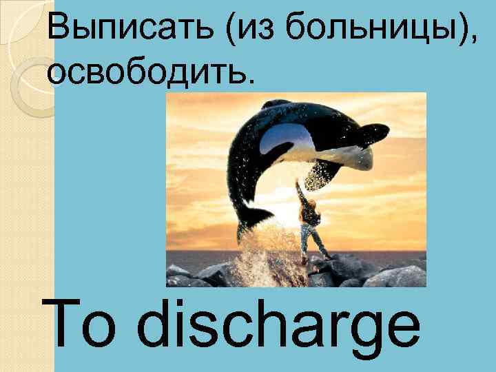 Выписать (из больницы), освободить. To discharge 