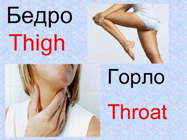 Бедро Thigh Горло Throat 