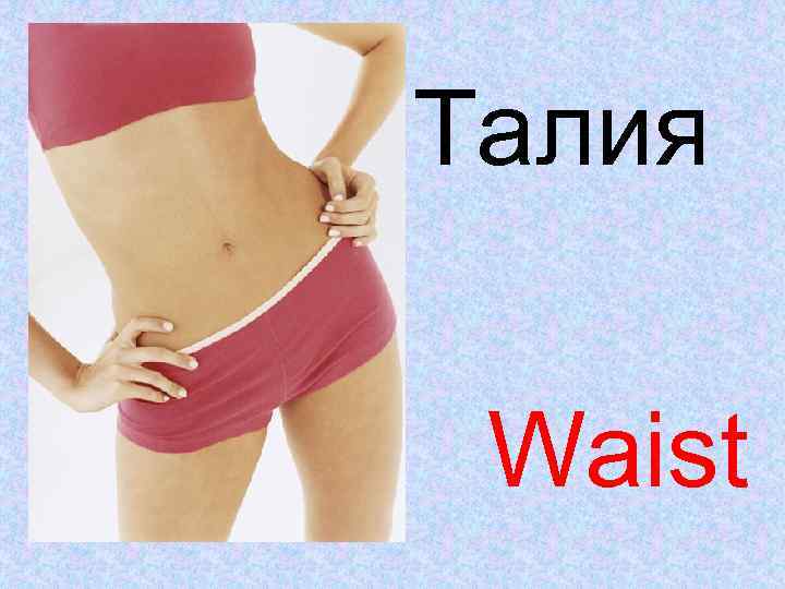 Талия Waist 