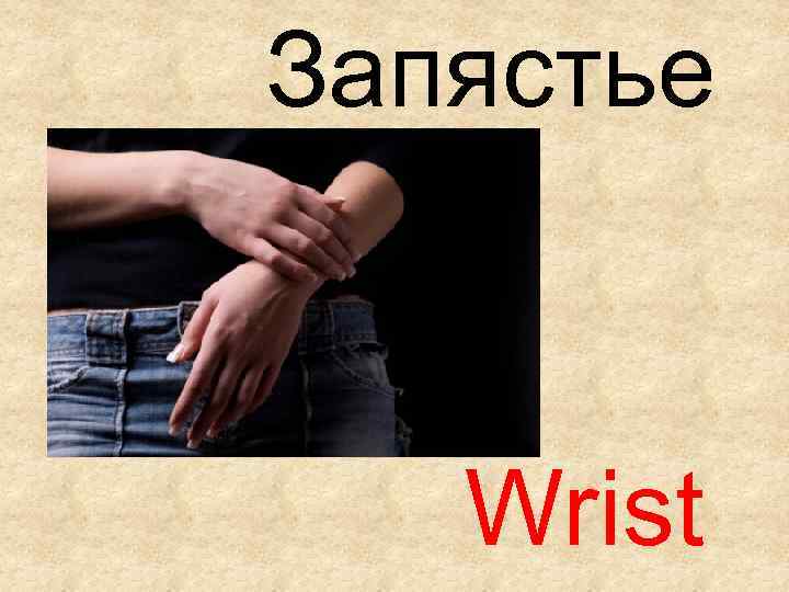 Запястье Wrist 