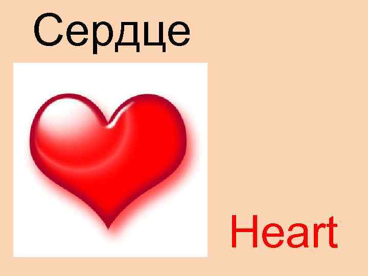Сердце Heart 