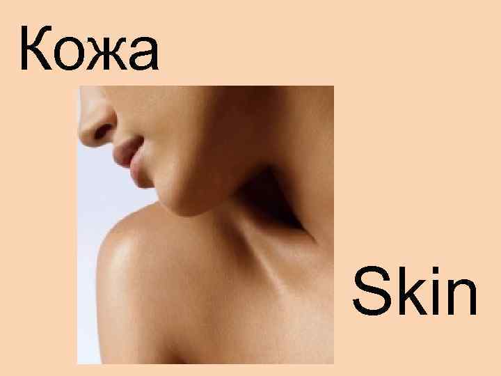 Кожа Skin 