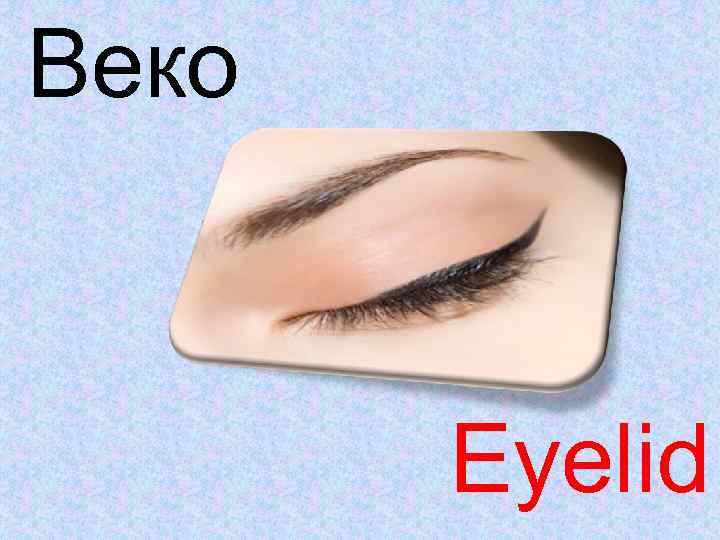 Веко Eyelid 