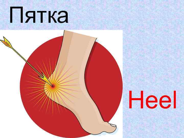 Пятка Heel 