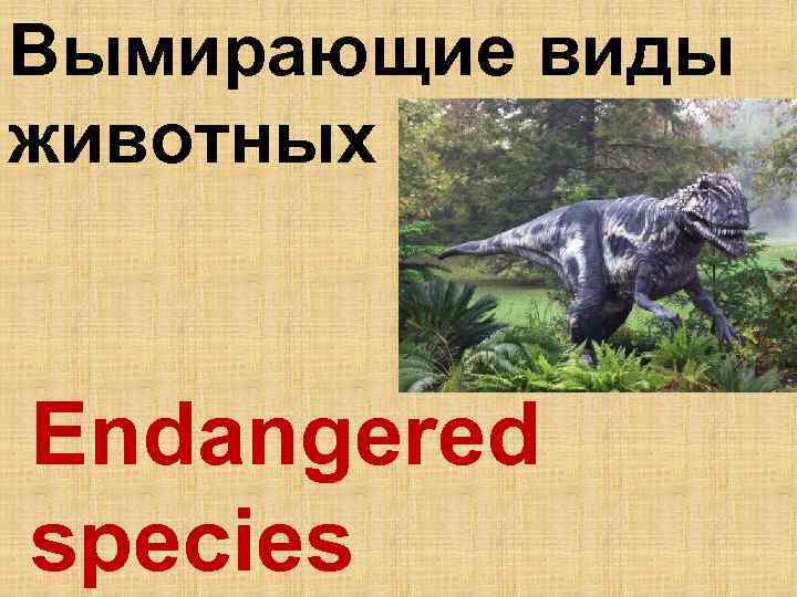 Вымирающие виды животных Endangered species 