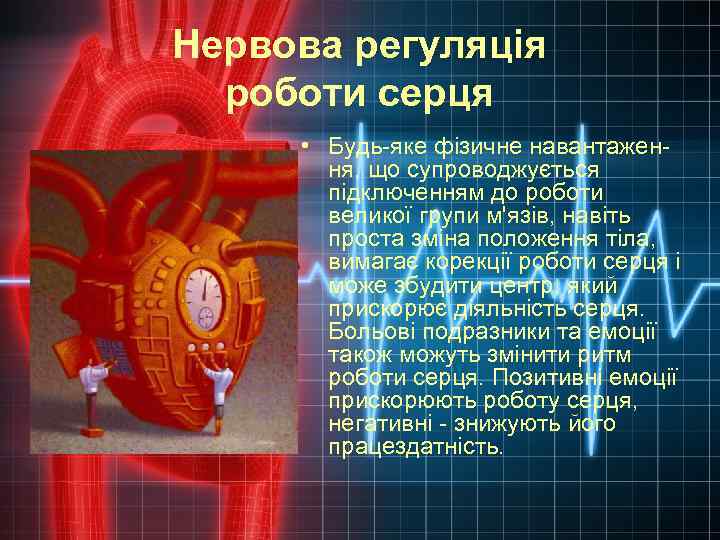 Нервова регуляція роботи серця • Будь-яке фізичне навантаження, що супроводжується підключенням до роботи великої