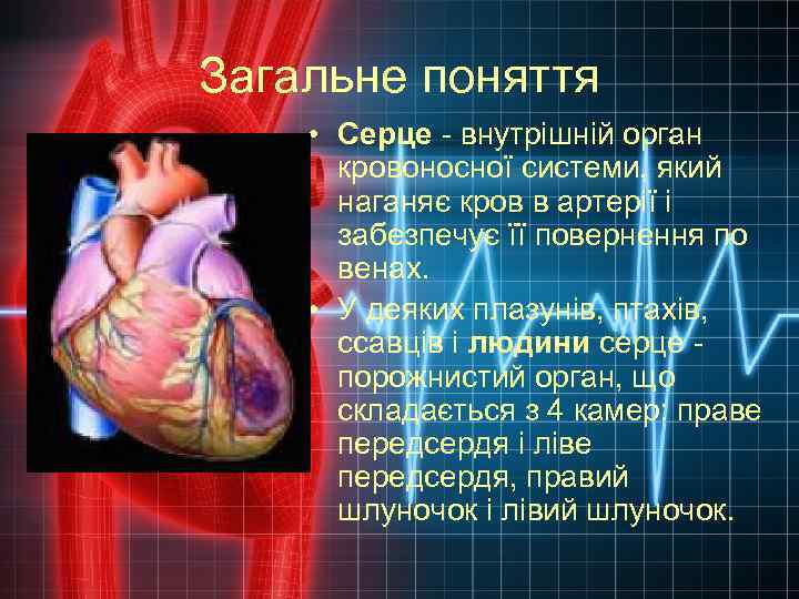 Загальне поняття • Серце - внутрішній орган кровоносної системи, який наганяє кров в артерії