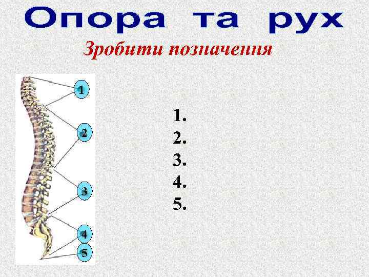 Зробити позначення 1 2 3 4 5 1. 2. 3. 4. 5. 