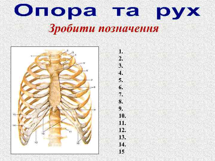 Зробити позначення 1. 2. 3. 4. 5. 6. 7. 8. 9. 10. 11. 12.